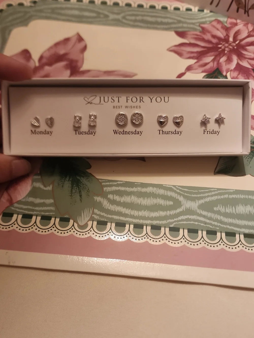 Just For You Best wishes Sliver Zirconia Stud Earrings 5 Pairs/10pcs Mon-Fri FP
